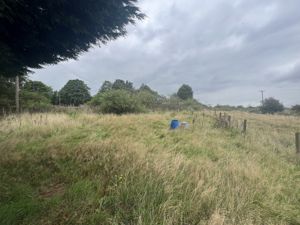 Photo 11- click for photo gallery